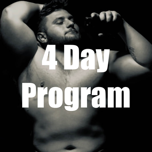 4 Day Program